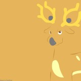 234stantler1920x1200beebf