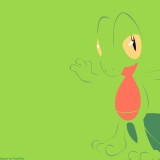 252treecko1920x1200f5462