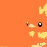 255torchic1920x1200a390c