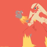 257blaziken1920x120024239