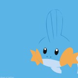 258mudkip1920x12000c613