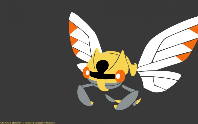 291ninjask1920x1200c779a.jpg