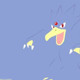 55golduck1920x1200fa909